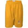 Pro Mesh 9" Shorts Thumbnail